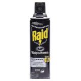 14oz Raid Wasp & Hornet Killer, Aerosol