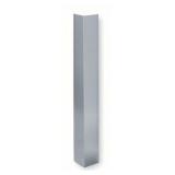 48x3in Stainless Steel Corner Guard