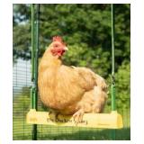 The Chicken Swing