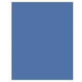 50 Sheets Tru-Ray Construction Paper 24x18in