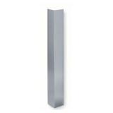 48x3in Stainless Steel Corner Guard
