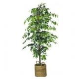 6ft Faux Ficus Tree In Woven Basket