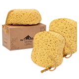 3pk myHomeBody Bath Sponge