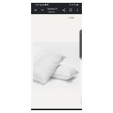 Standard Resident Pillow 20x26in