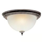 14in Westinghouse L Ceiling Light