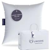 Lincove Throw Pillow Insert, 20x20in
