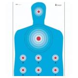 100ct High Vis Modified B-27 Target 23x35in