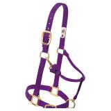 Size M Weaver Equine Adjustable Halter  in