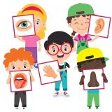 1x2ft StikArt 5 Senses Wall Decals: Sight Taste