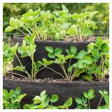 20 in. Strawberry Tiered Patio Planter