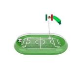 2in1 FIFA World Cup Soccer Field Cat Scratcher