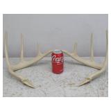 2pc Plastic Horns