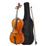 Glarry GC101 4/4 Full-Size Acoustic Cello