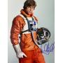 $15 LIVE AUCTION | Autographed Memorabilia | Movies | TV