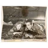 Battle Circus June Allyson signed photo Battle Circus June Allyson signed photo