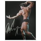 Arnold Schwarzenegger signed photo Arnold Schwarzenegger signed photo