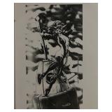 Tidwell art print