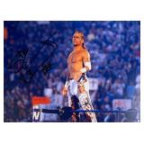 Mr. WrestleMania Shawn Michaels facsimile...