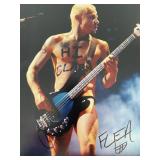 Red Hot Chili Peppers Flea signed photo