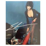 Elvira, Mistress of the Dark signed photo