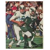 Philadelphia Eagles Roman Gabriel signed photo