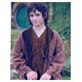 The Lord of the Rings Elijah Wood facsimile...