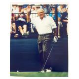 Arnold Palmer photo