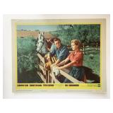 The Sundowners   original 1961 vintage lobby card
