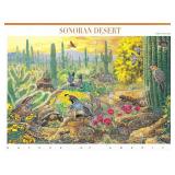 Sonoran Desert Stamp Set