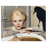 The Birds Tippi Hedren signed photo