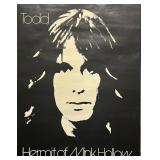 Rare Todd Rundgren Hermit of Mink Hollow...