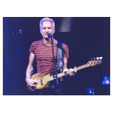 Sting facsimile signed  photo