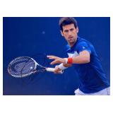 ATP Novak Djokovic facsimile signed  photo