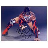 WWE Universal Champion  Finn B¡lor facsimile...