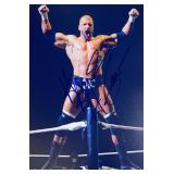 WWE Triple H facsimile signed  photo