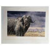 African Buffalo Print