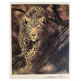 Andrew Bone Silent Stalker art print. 8x7 inches