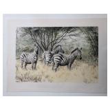 A Dazzle of Zebras Print
