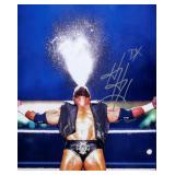 WWE Triple H facsimile signed photo