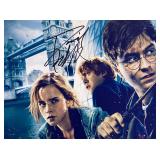 Harry Potter Daniel Radcliffe facsimile signed ...