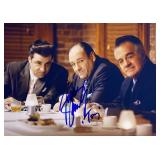 The Sopranos James Gandolfini facsimile signed ...