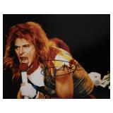 Van Halen David Lee Roth signed photo