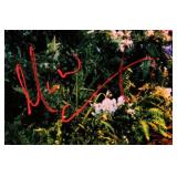 Mariah Carey signed Can