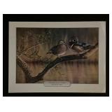 Richard Clifton Bird Art Print