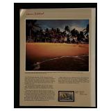 Hawaii Statehood 20 Cent Stamp