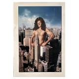 Private Parts original movie poster artwork