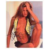 Model Stephanie Seymour signed photo