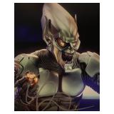 Spider-Man 	 Willem Dafoe signed movie photo