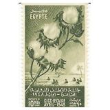 International Cotton Congress - Field and...