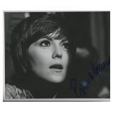 Midnight Cowboy Brenda Vaccaro signed photo